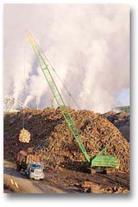 Crane loading a truck with timber.